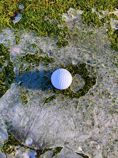 Golf Ball on Fairway Grass with Ice and Sunlight in Lugano