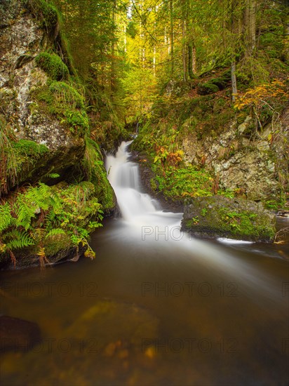 Ravenna stream waterfall