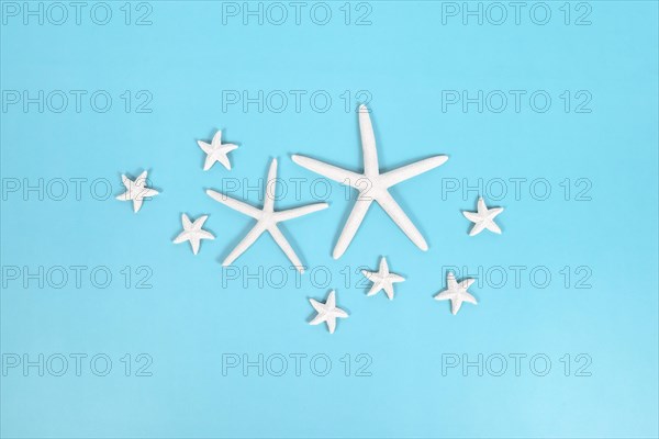 Different sized starfish on blue background