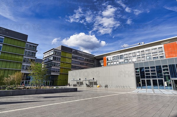 Konrad Adenauer Complex