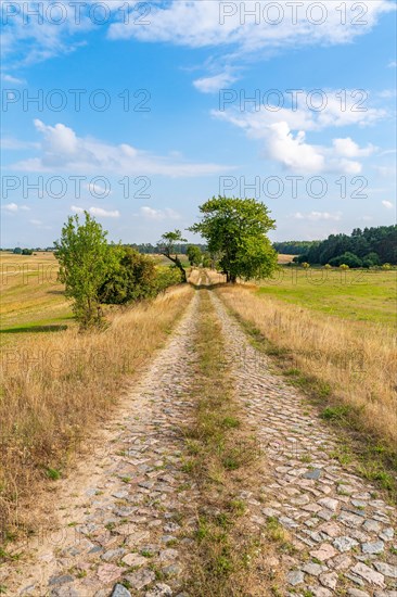 Straight ahead empty hiking trail with cobblestones