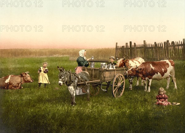 Selling milk directly on the pasture from a donkey cart