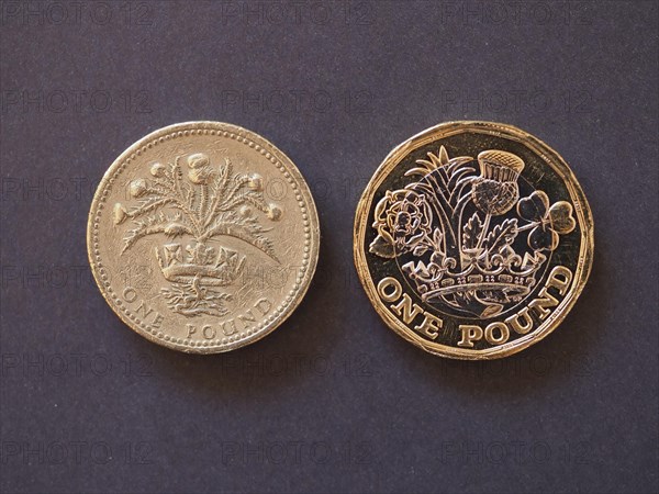 1 pound coin