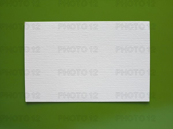 Blank paper tag label