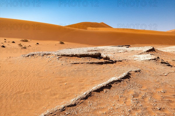 Red Sand Dunes