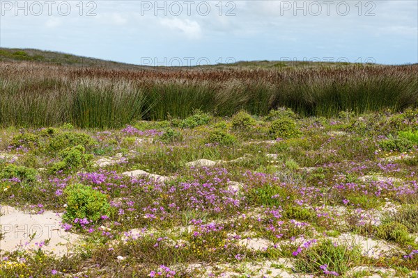 West Coast National Park