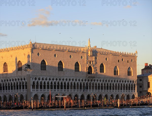 Doges Palace in the Evening Light