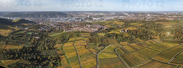 Vineyards in the area of the districts of Rotenberg and Untertuerkheim