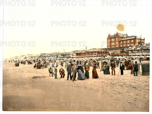 Beach houses on Westerland