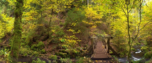 Bridge over the Ravenna stream