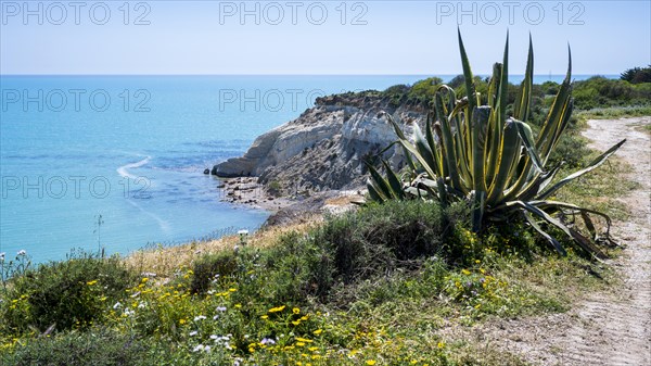 Chalk cliffs at Capo Bianco