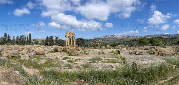 Temple of Dioscuri