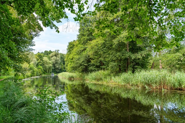 Green landscape at the Templin Canal