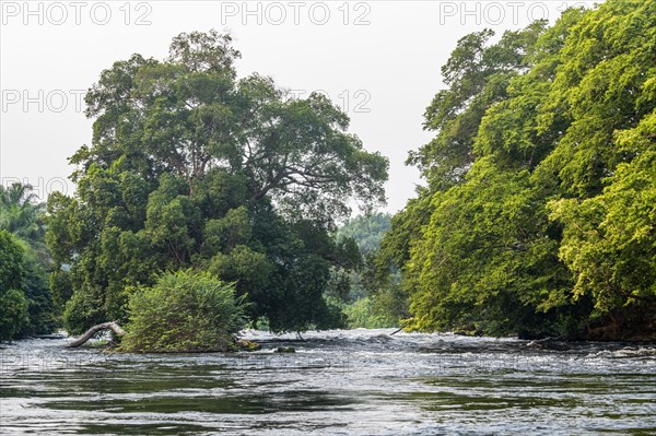 Sidearm of the Congo river