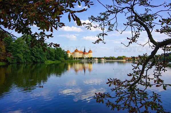 The world-famous Moritzburg Castle near Dresden