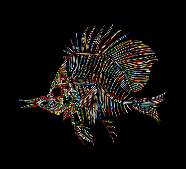 Fish skeleton graphic in colors