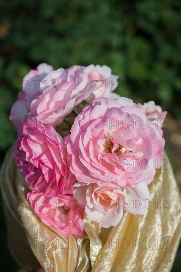 Blooming beautiful bunch of roses in spring garden