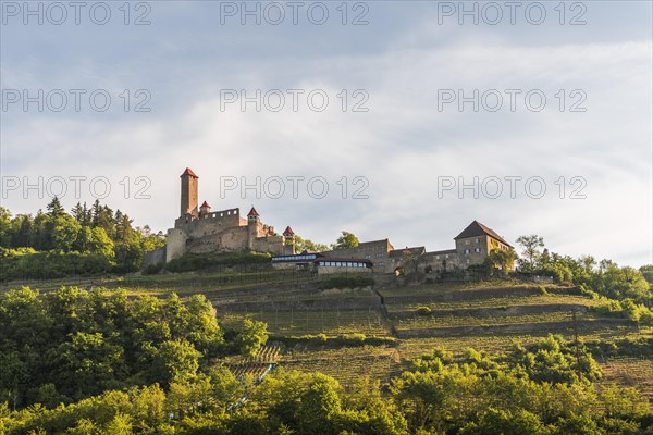 Hornberg Castle in the Neckar Valley