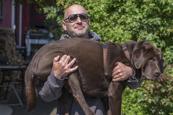 Master carries his sick Labrador