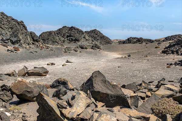 Amphibolite rock