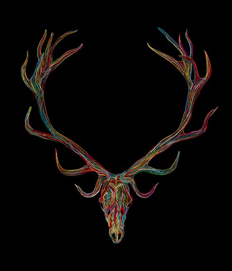 Deer skull graphic in colors