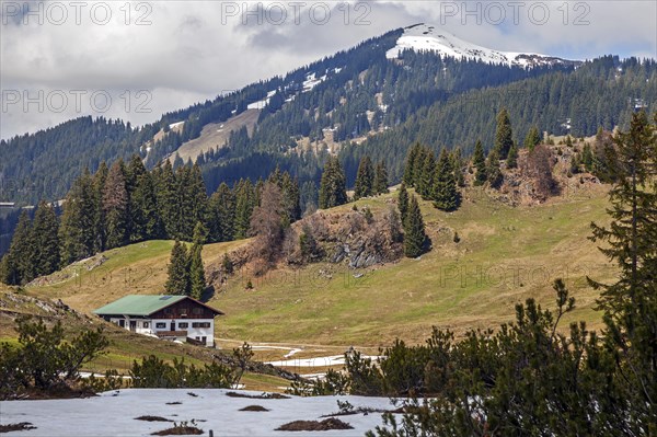 Alpe Dinjoergen