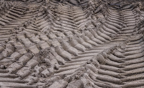 Tyre tracks of a tractor in loamy soil