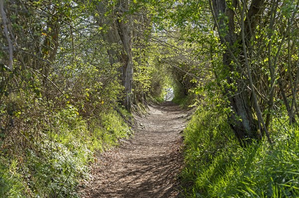 Hiking trail