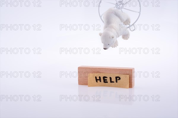 Polar bear trapped in metal cage asks for help