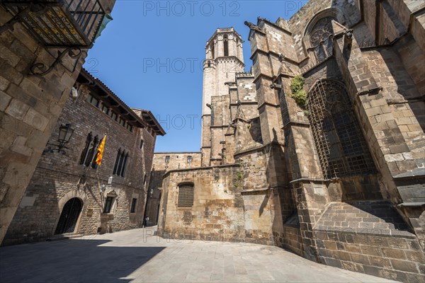 Barcelona Cathedral