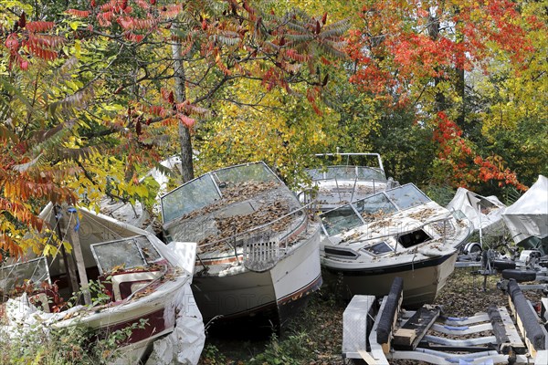 old Boats