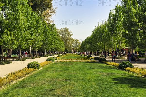 Retiro Park in spring