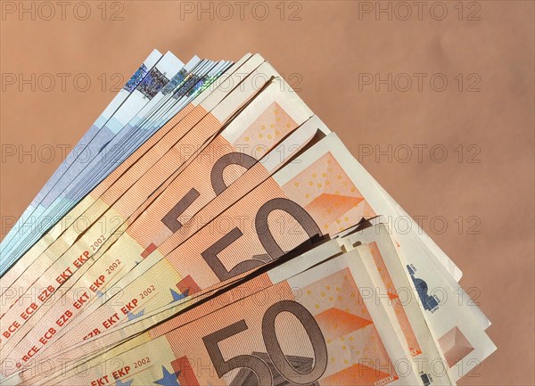 Fifty and Twenty Euro notes