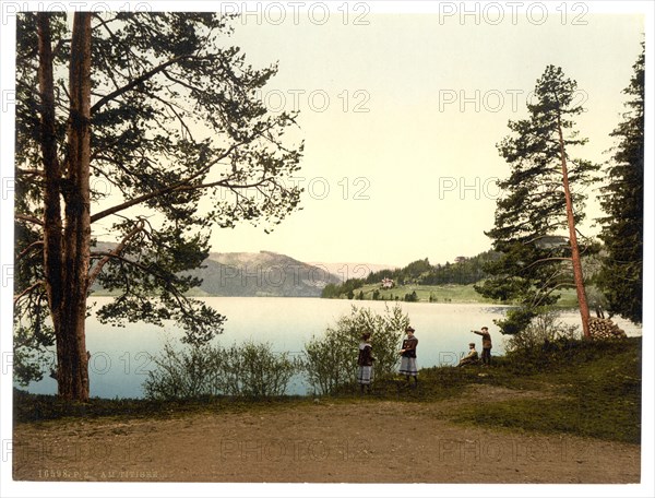 Lake Titisee in the Black Forest