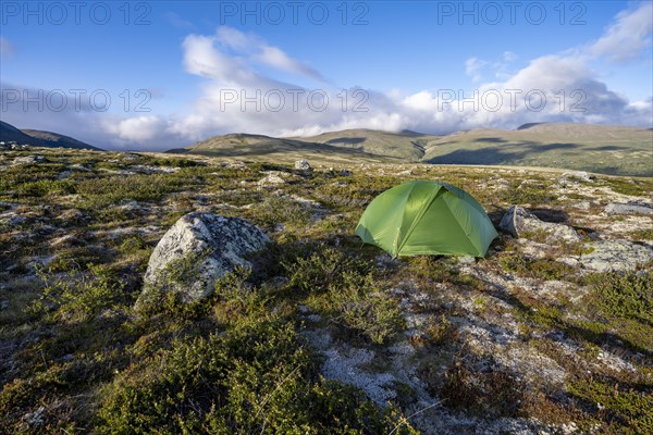 Green tent