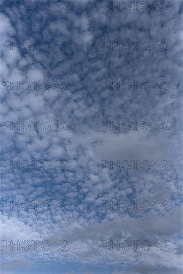 Altocumulus clouds