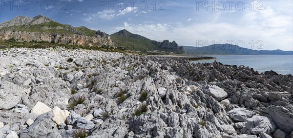 Rocks on the coast