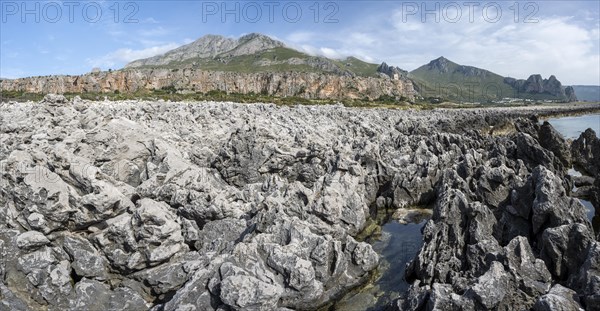 Rocks on the coast