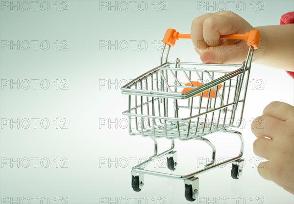 Shopping cart in the hand on white background