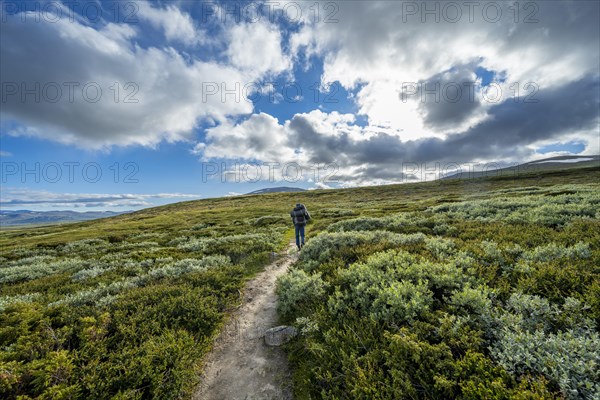 Mountaineer on hiking trail in the mountains