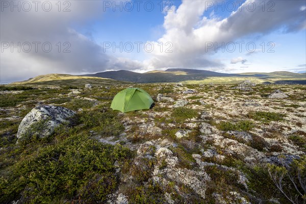 Green tent