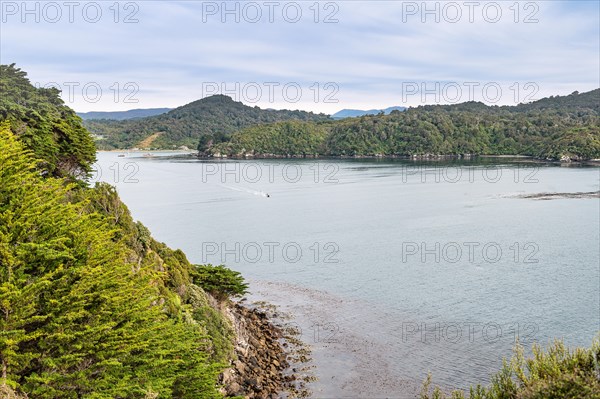 Stewart Island