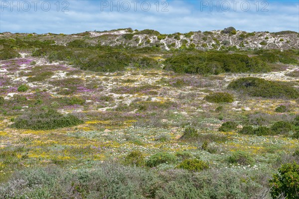 West Coast National Park