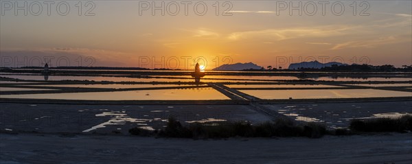 Windmill at sunset