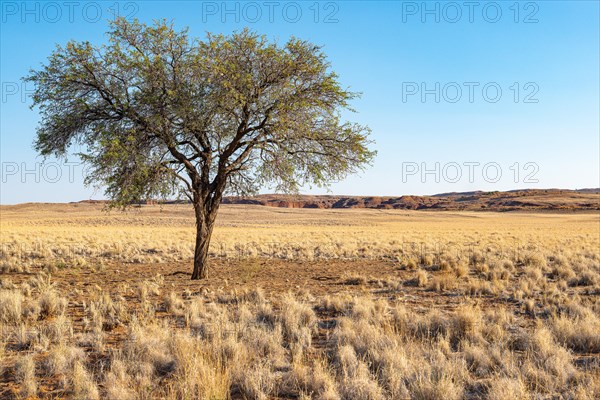 Namib Desert Lodge