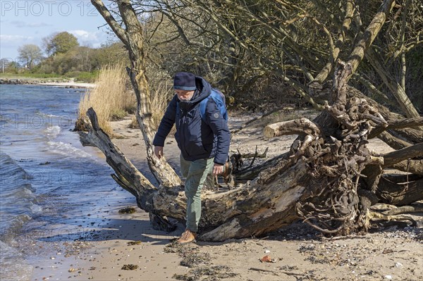 Elderly man climbing over tree roots