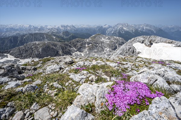 Spring in the mountains