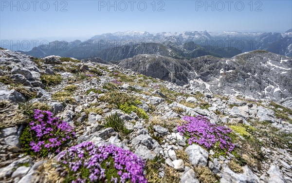 Spring in the mountains