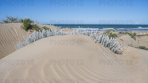 On the beach