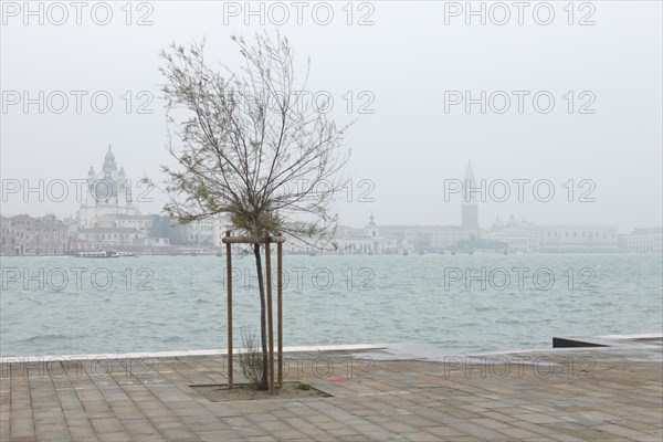 View from the Isola della Guidecca across the Canale della Guidecca to San Marco and Maria della Salute